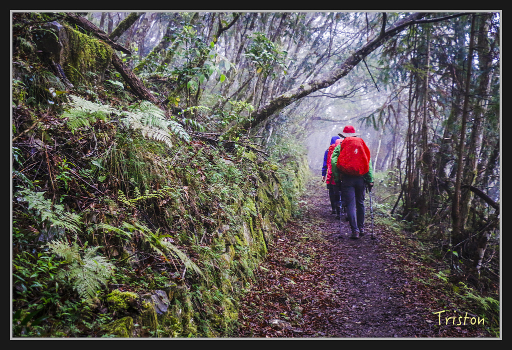 2017-02-27 10.03.53 下午 _MG_0366.jpg - 20170225 玉里瓦拉米