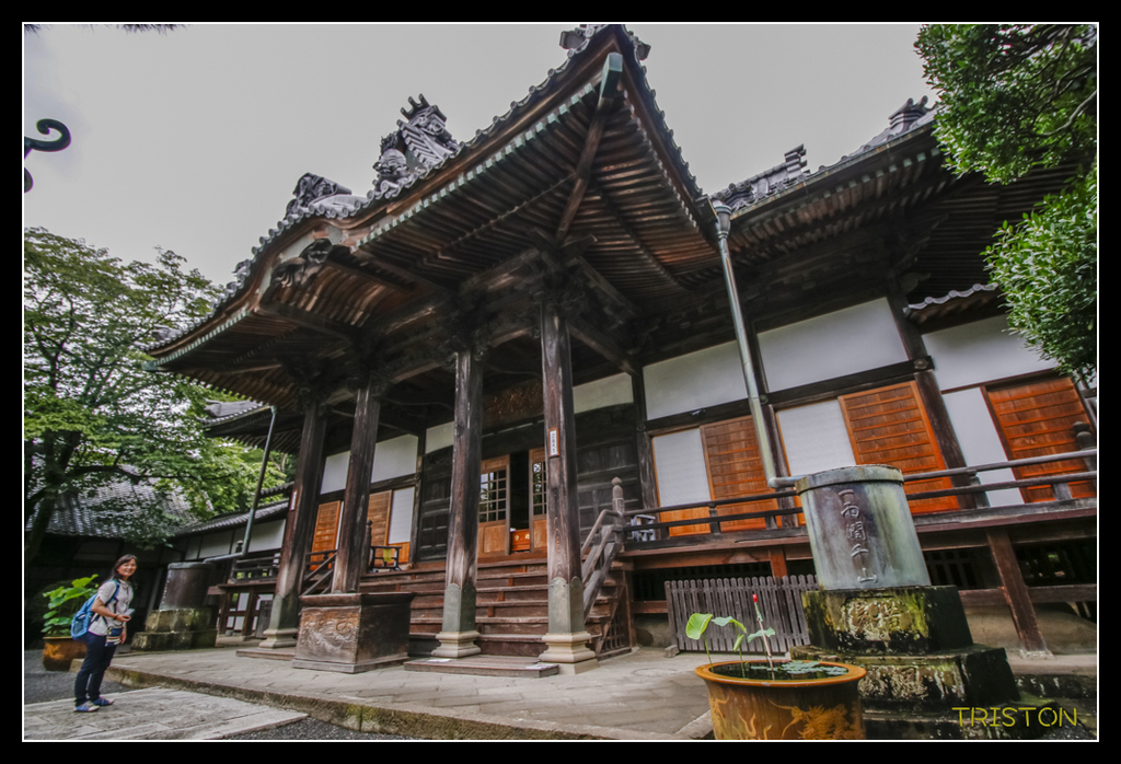 _MG_1140.jpg - 20170702 靜岡東海道之旅
