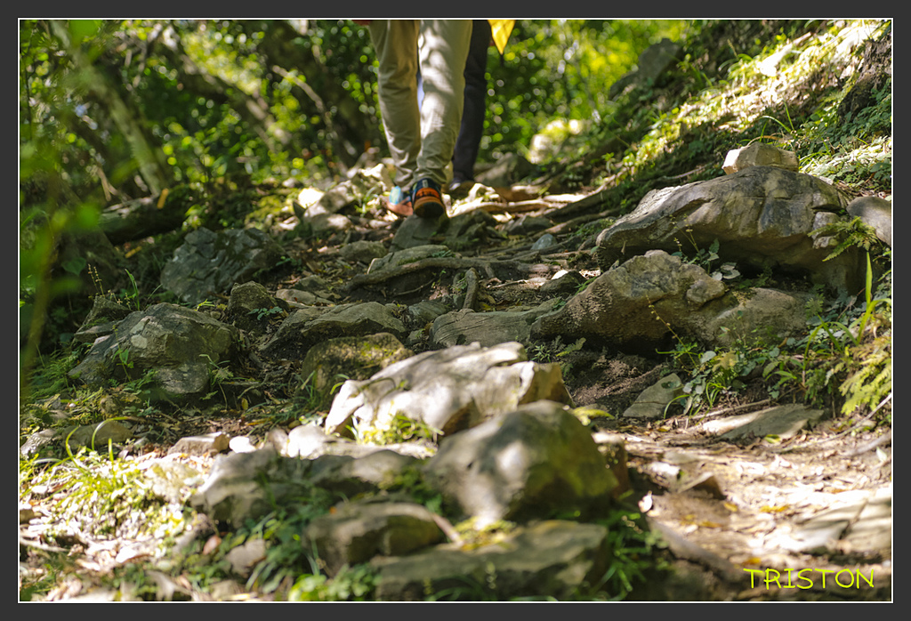 _H1A6327.jpg - 20170901 戀戀台九線