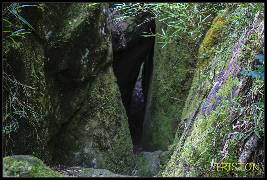 _MG_0094.jpg - 20170920 加里山