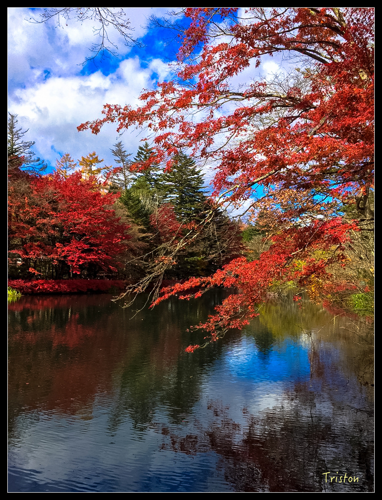 S__7536647.jpg - 20151031 秋天的童話-貴婦東京輕井澤紀行