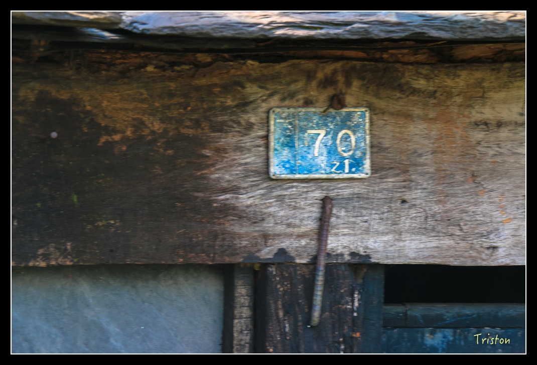 IMG_9526.jpg - 20151202 老七佳部落