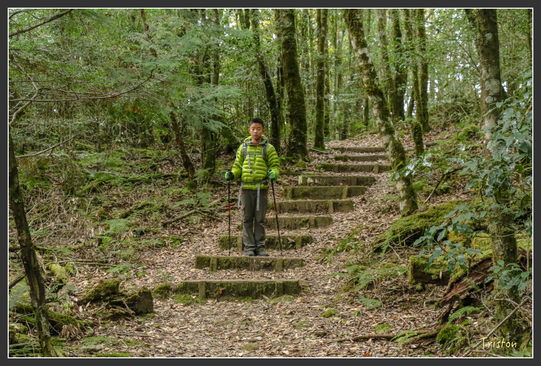 IMG_1167.jpg - 20151219 鳶嘴稍來山、小雪山林道