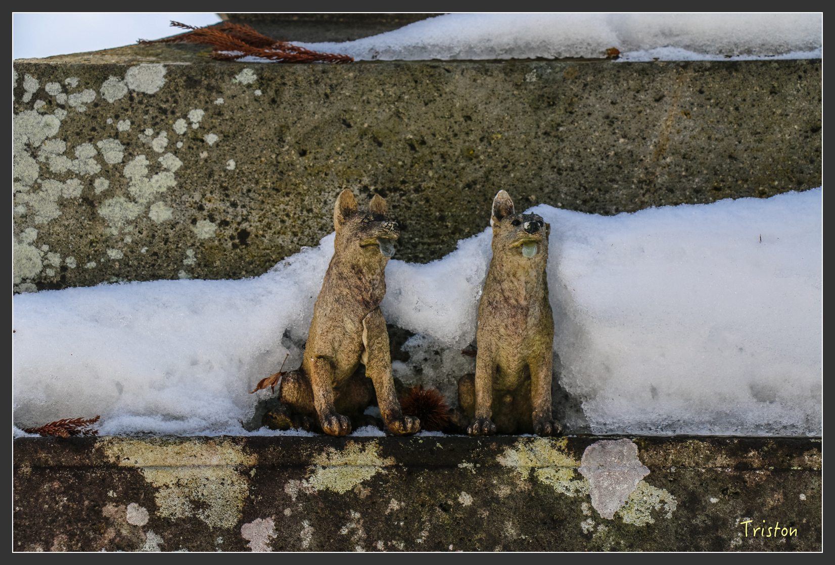 2016ZAO-00632.jpg - 20160131 日本藏王溫泉滑雪親子行