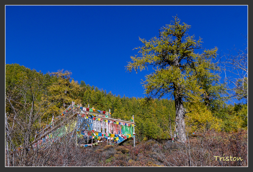 _MG_2055.jpg - 20161013 稻城亞丁