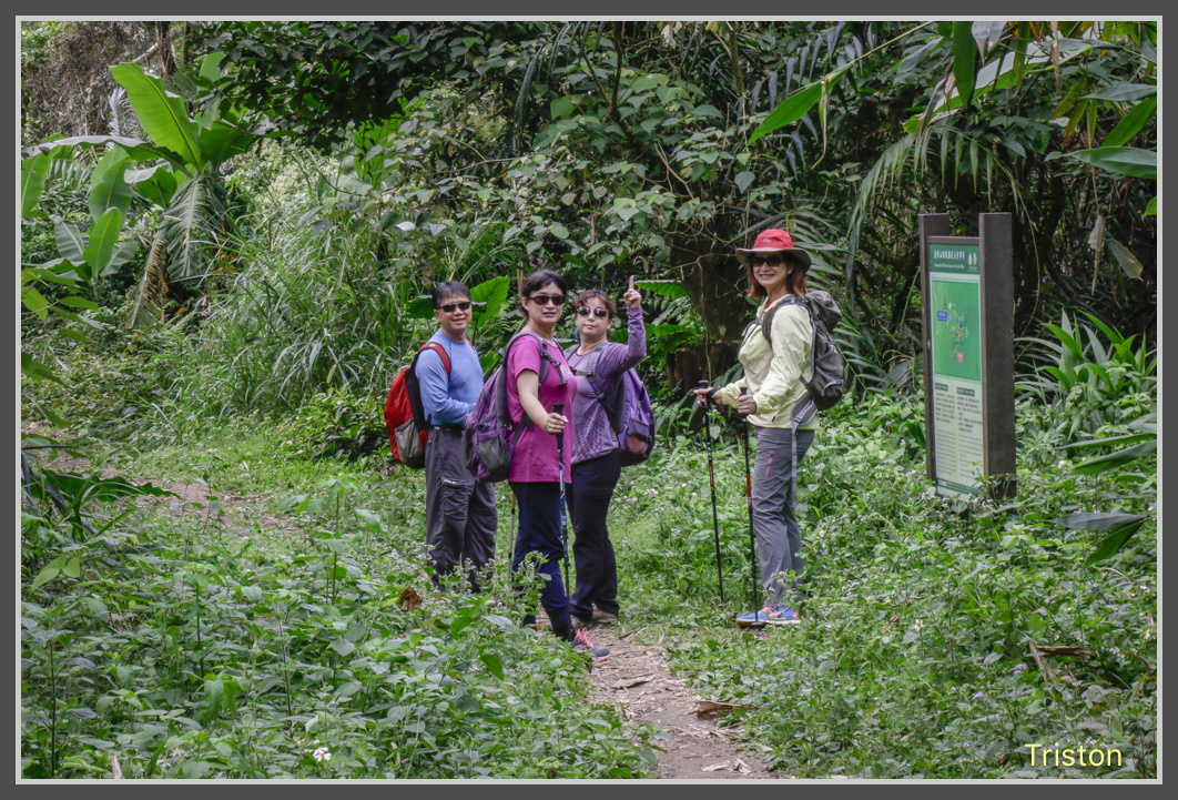 _MG_0049.jpg - 20161126 台南崁頭山