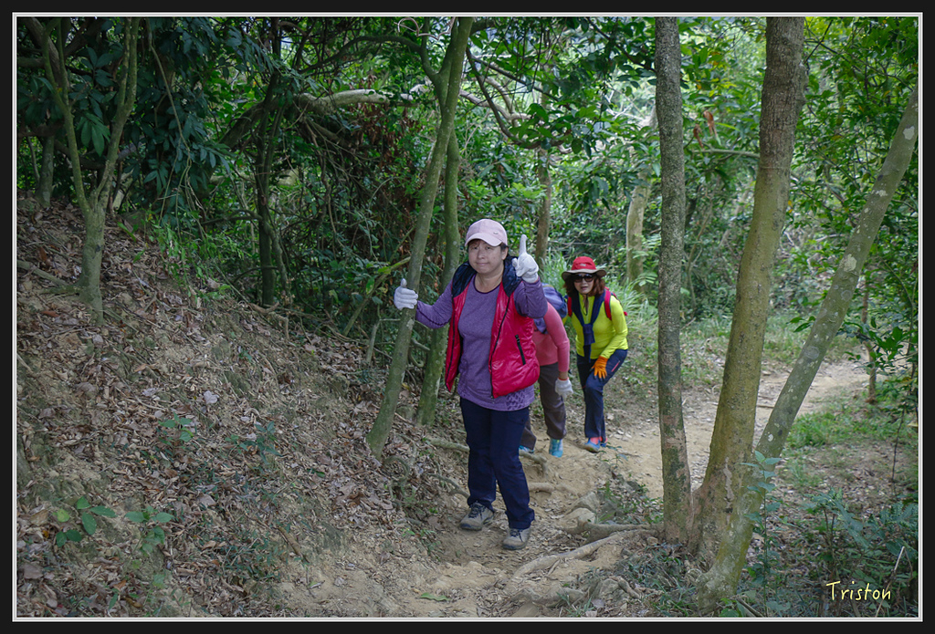 _MG_0629.jpg - 20170114 旗尾山