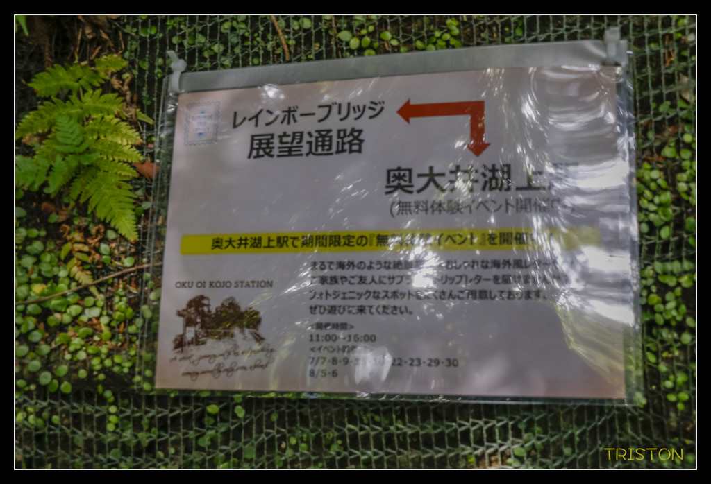 _MG_0557.jpg - 20170702 靜岡東海道之旅