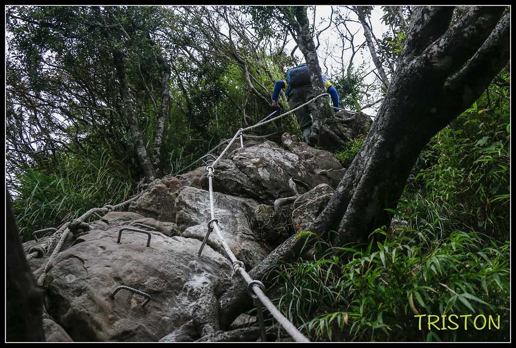 _MG_0121.jpg - 20170920 加里山
