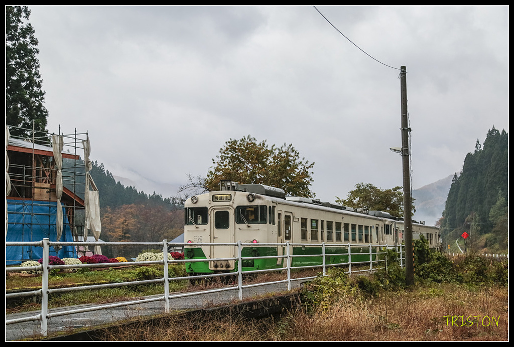 _H1A0295.jpg - 20171103 日本只見線、會津若松五色沼、昭和記念公園賞紅葉