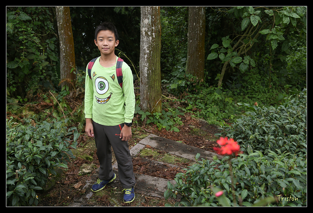 JH1A9724.jpg - 20150920 石棹,霧之道 茶之道 雲之道