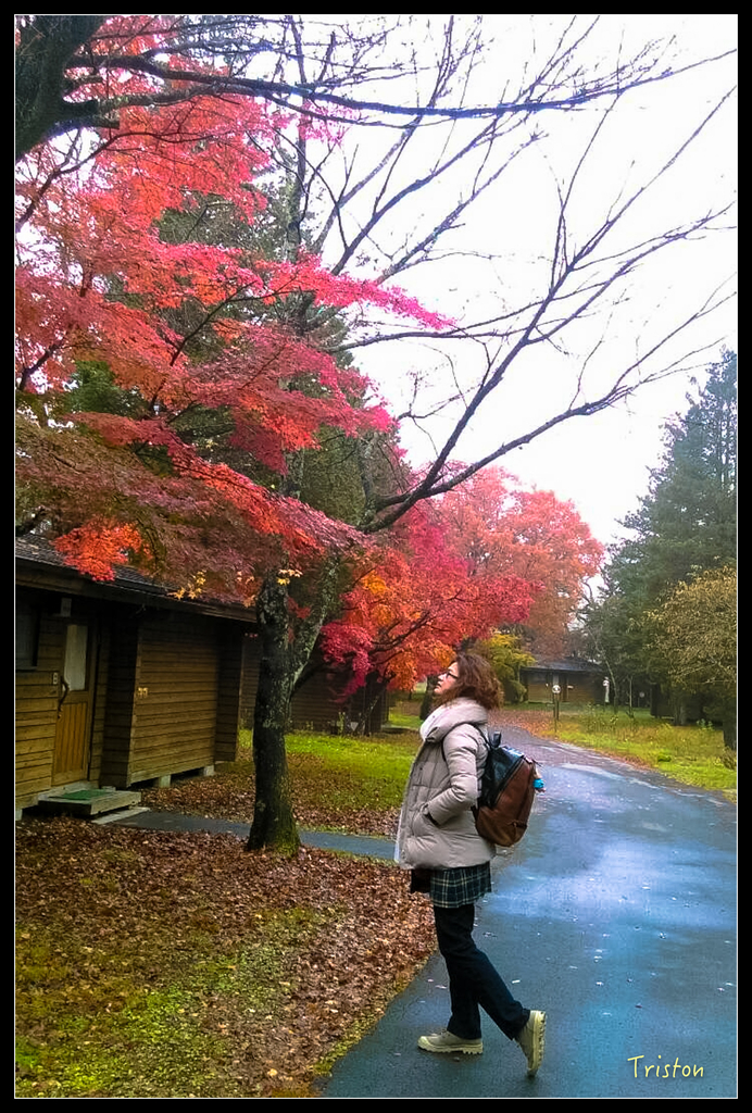 S__7528485.jpg - 20151031 秋天的童話-貴婦東京輕井澤紀行