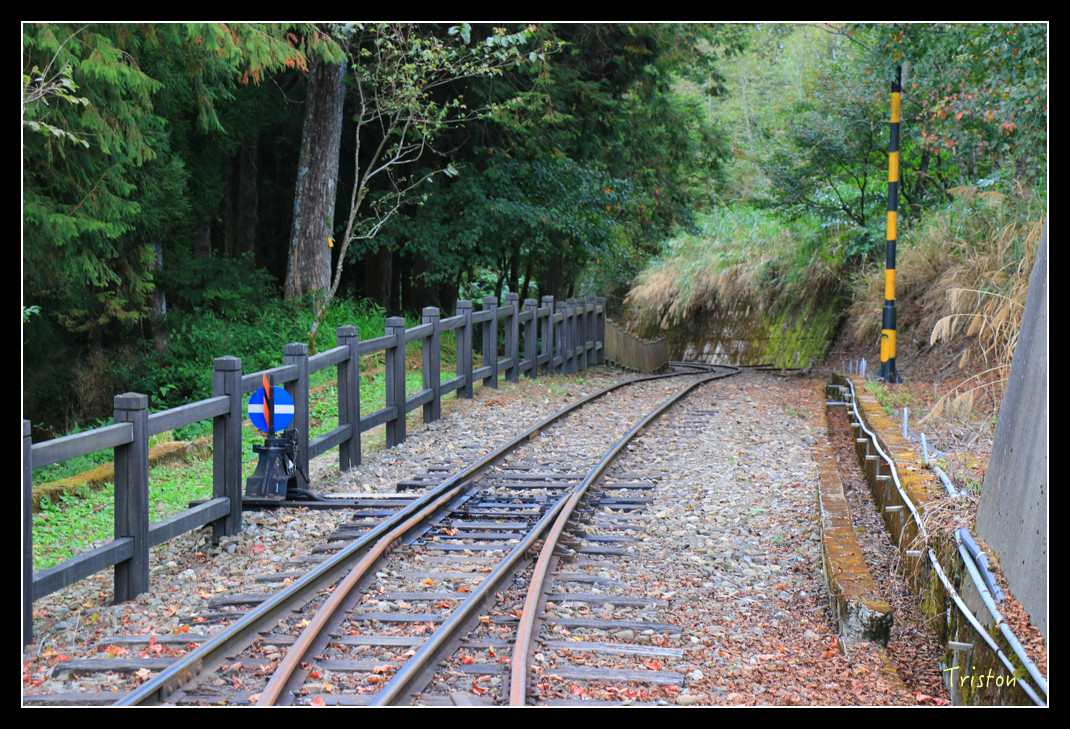 IMG_9365.jpg - 20151130 小笠原山、對高岳