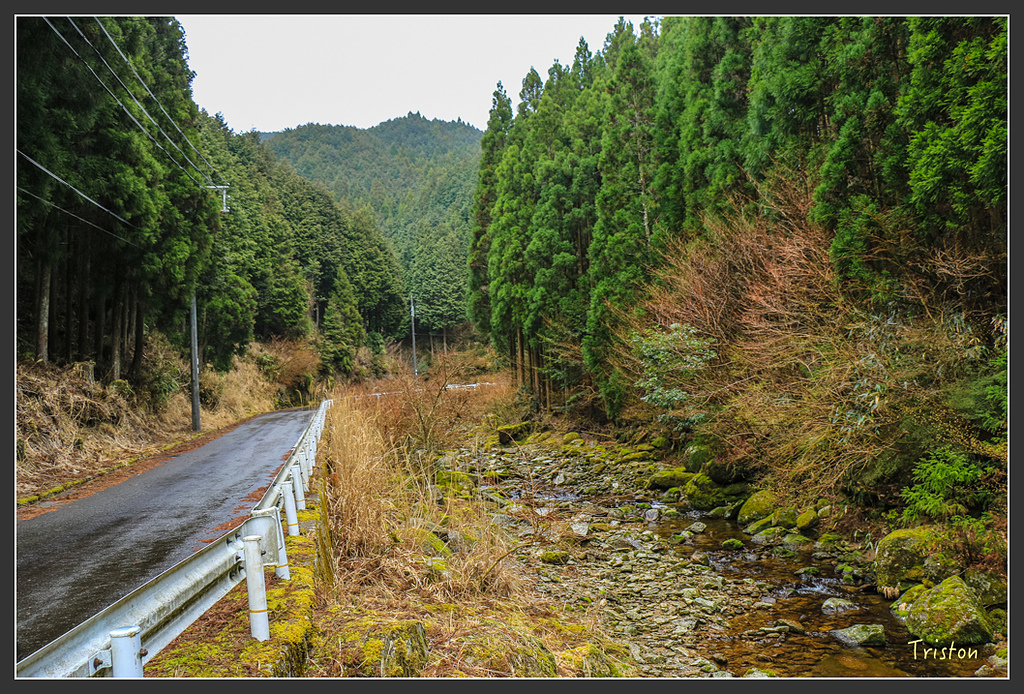 IMG_5518.jpg - 20160323 日本熊野古道健行