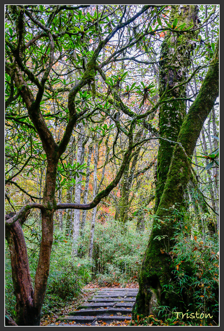 _MG_2737.jpg - 20161013 稻城亞丁