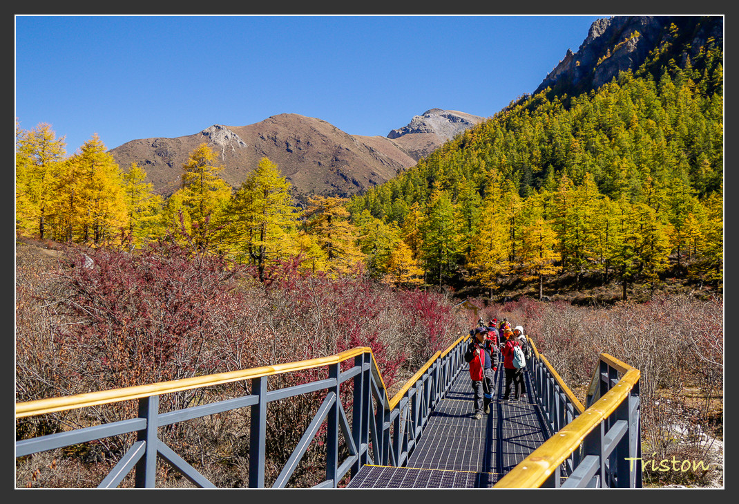 _MG_2113.jpg - 20161013 稻城亞丁