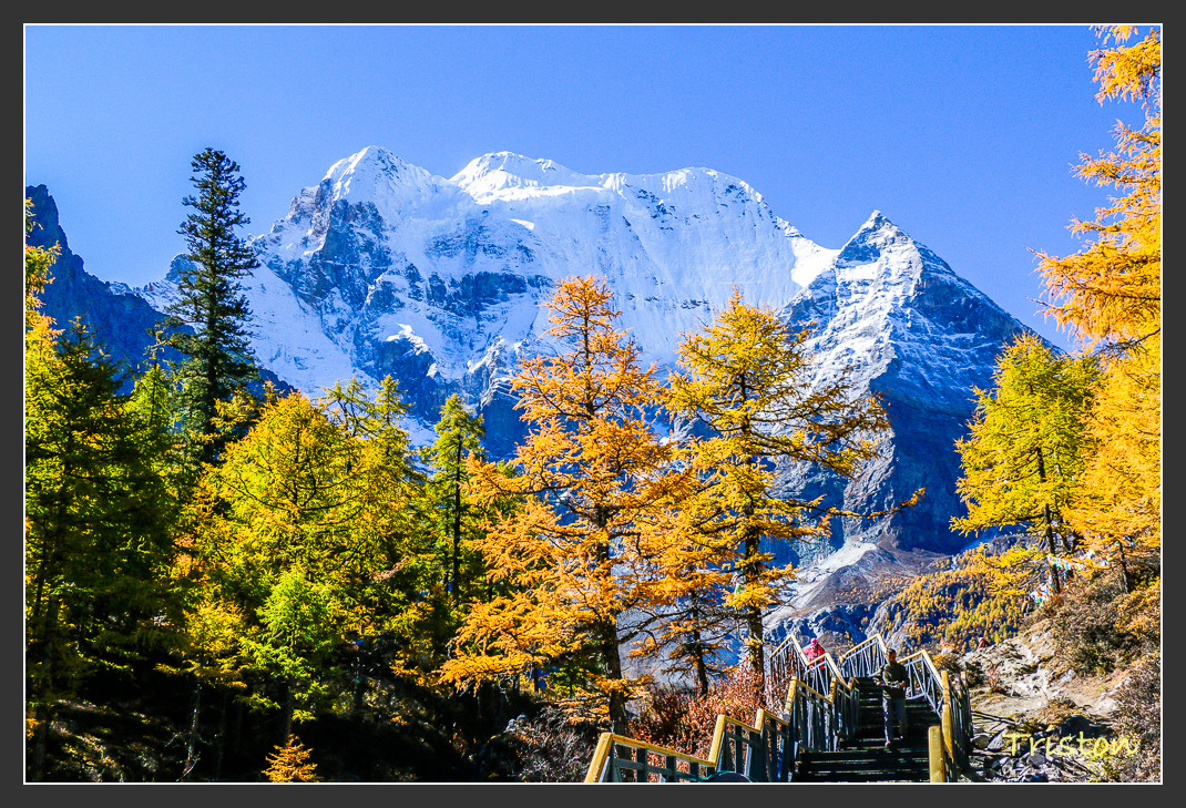 _MG_2047.jpg - 20161013 稻城亞丁