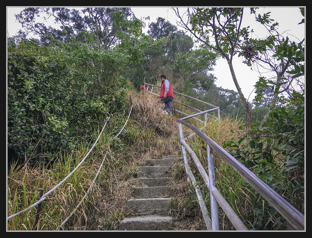 IMG_2133.jpg - 20170204 大社觀音山