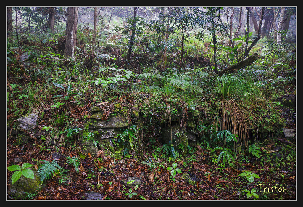 2017-02-27 10.03.53 下午 _MG_0242.jpg - 20170225 玉里瓦拉米