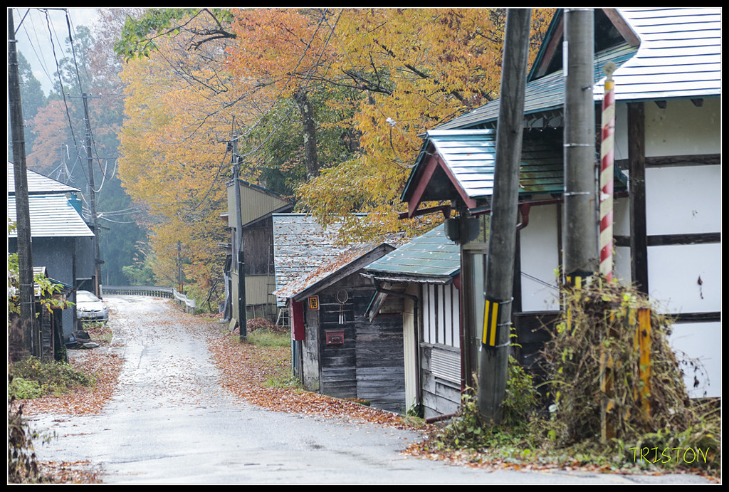 _H1A0357.jpg - 20171103 日本只見線、會津若松五色沼、昭和記念公園賞紅葉