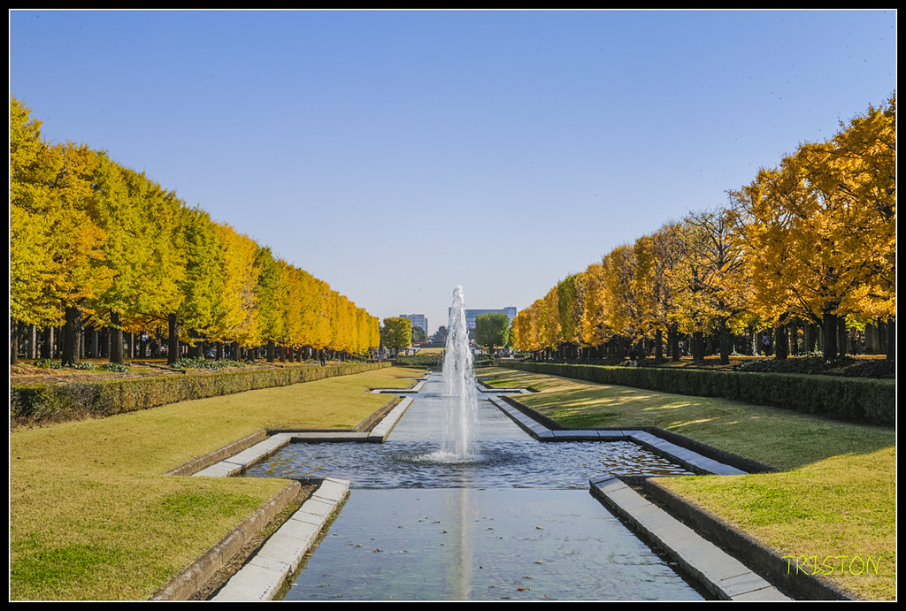_H1A1583.jpg - 20171103 日本只見線、會津若松五色沼、昭和記念公園賞紅葉
