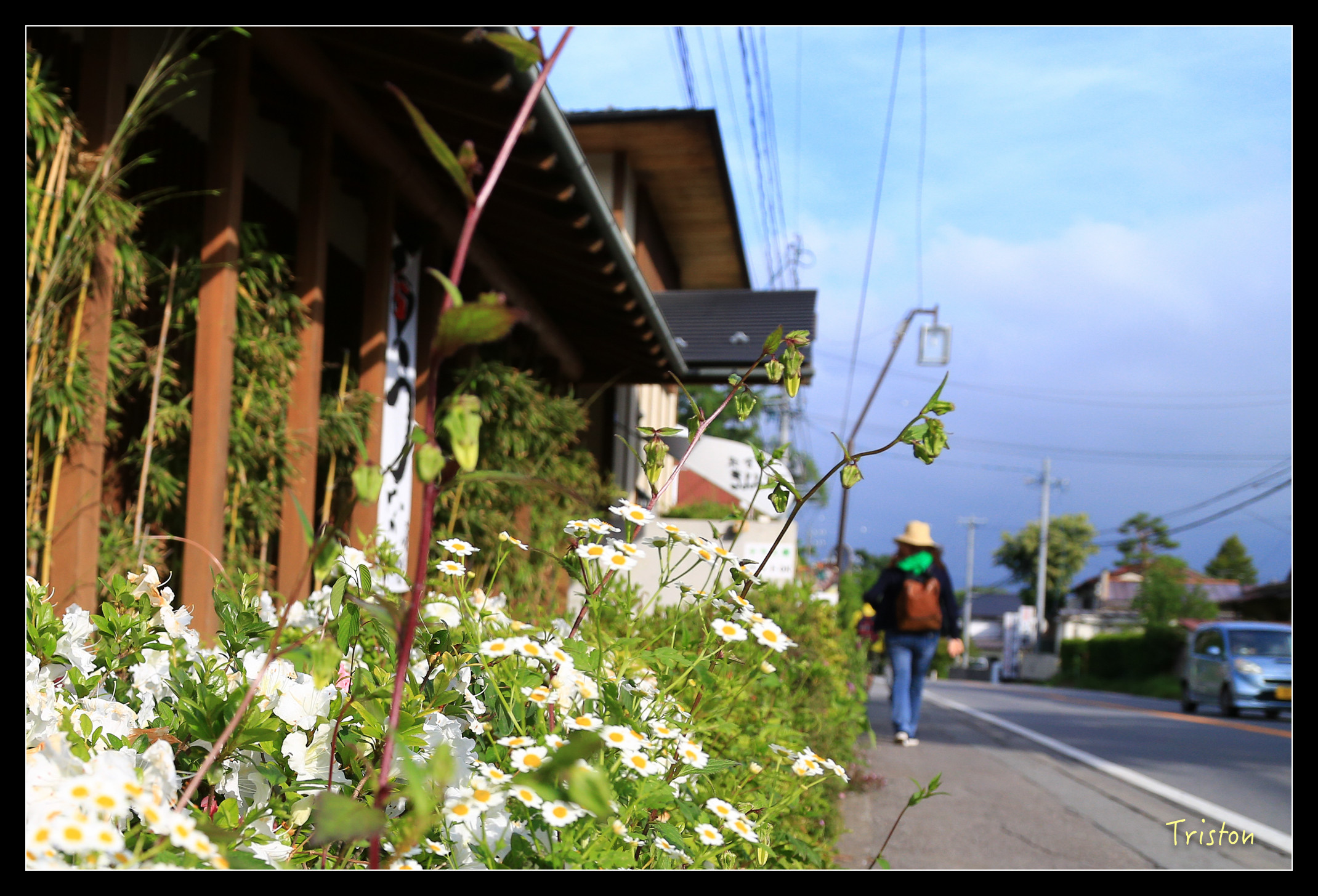 JH1A9234.jpg - 20150628 東京輕井澤日光
