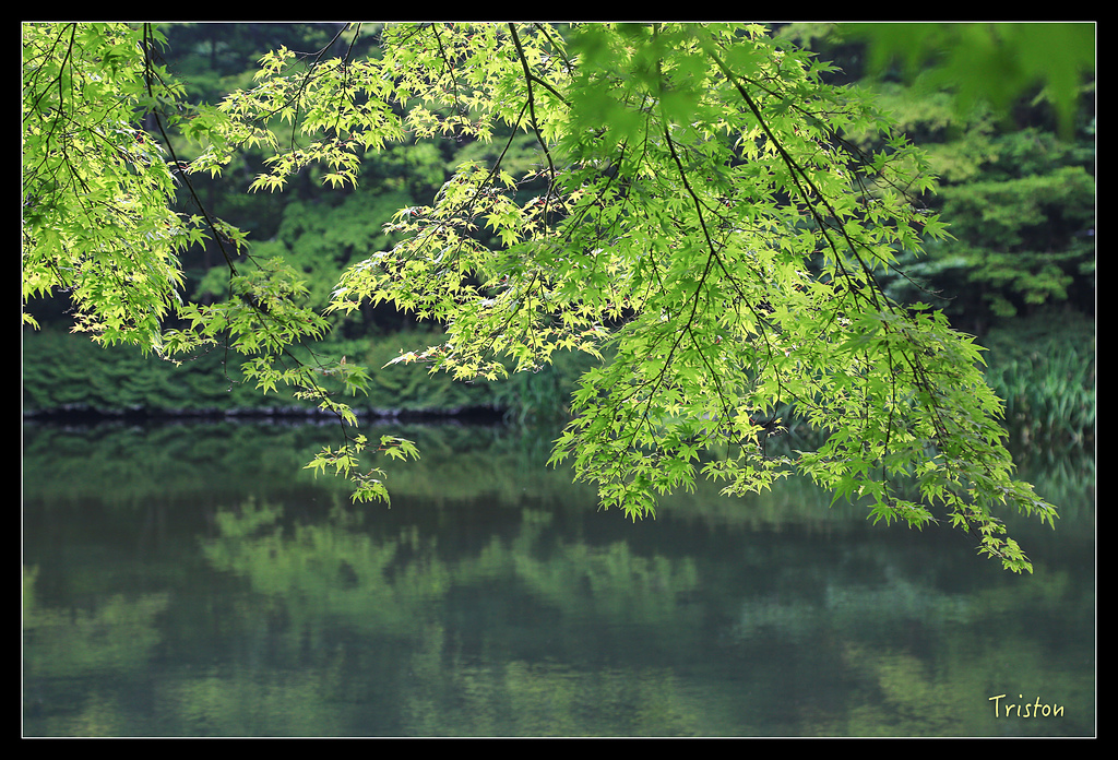 JH1A9472.jpg - 20150628 東京輕井澤日光