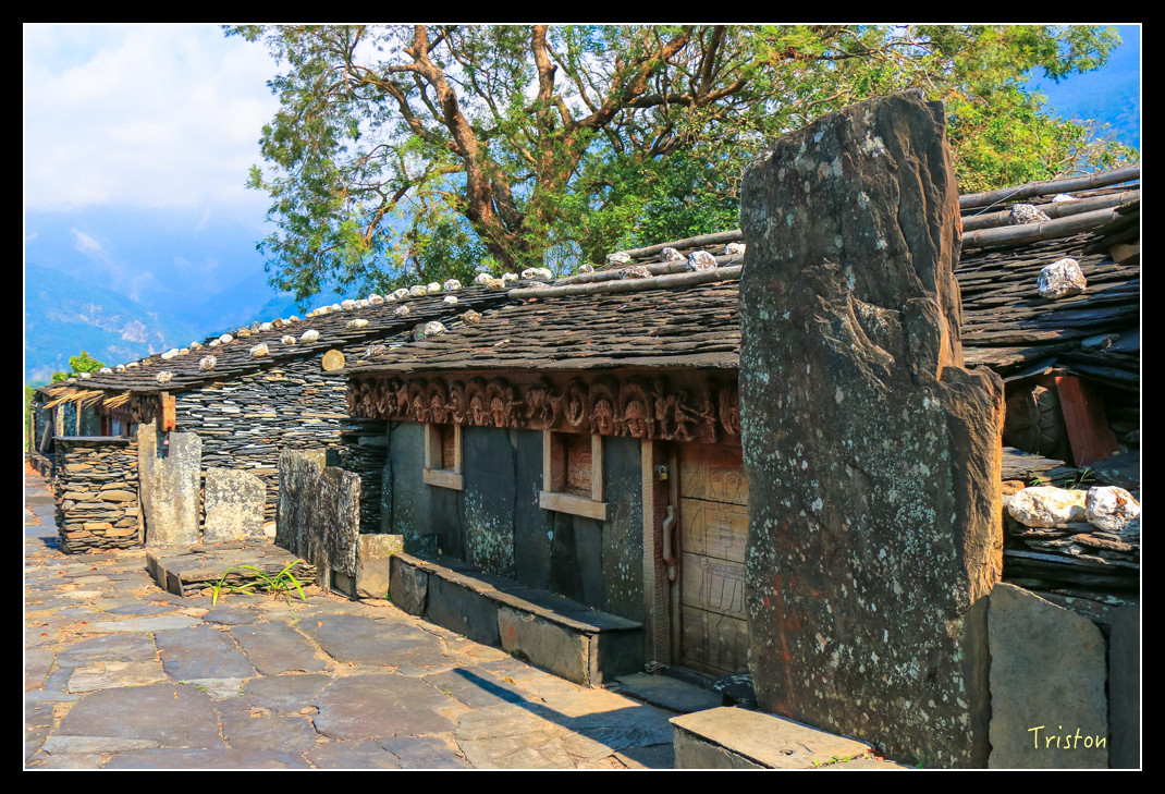 IMG_9535.jpg - 20151202 老七佳部落