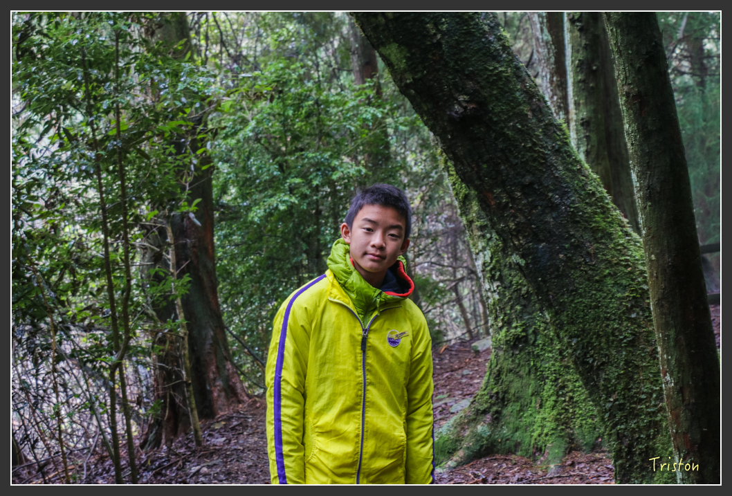 IMG_3279.jpg - 20160227 觀霧森林步道