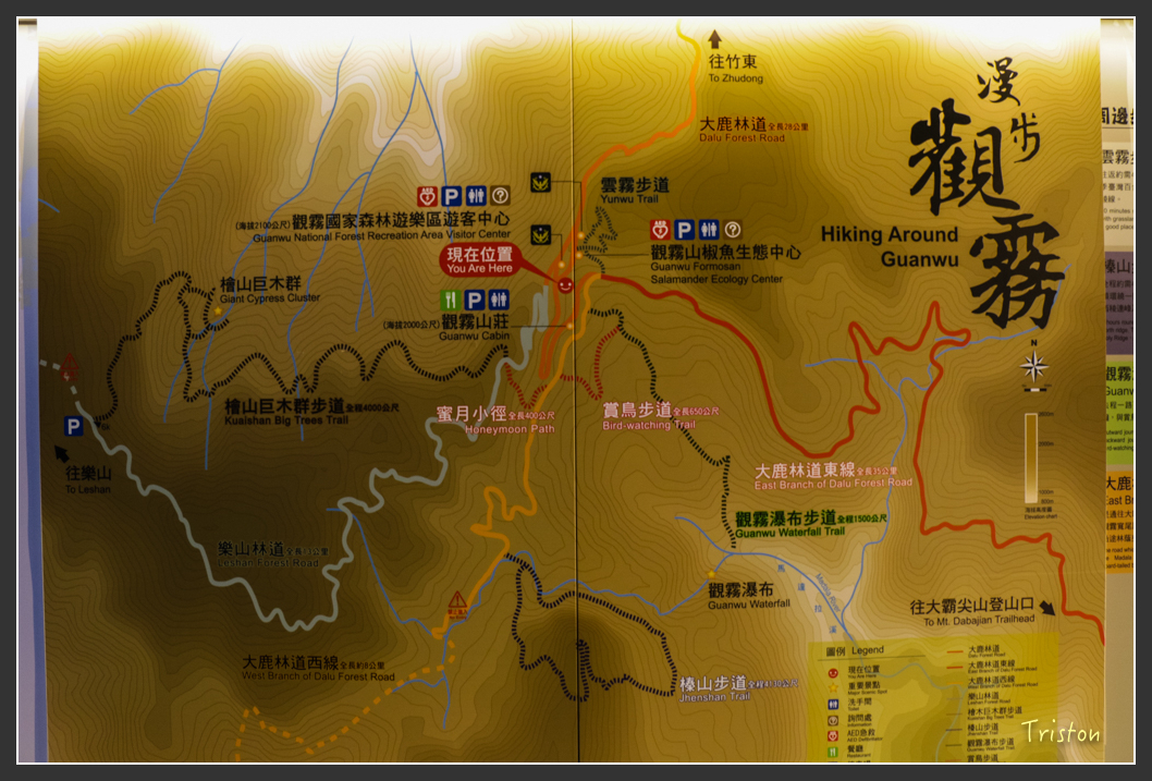 IMG_3235.jpg - 20160227 觀霧森林步道