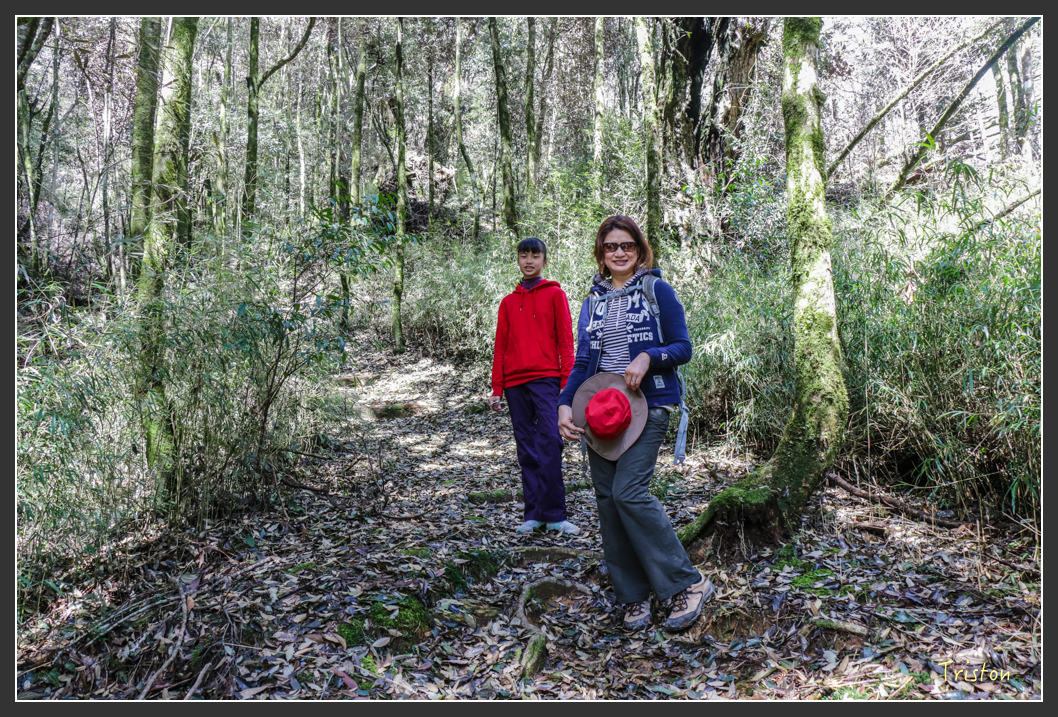 IMG_3411.jpg - 20160227 觀霧森林步道