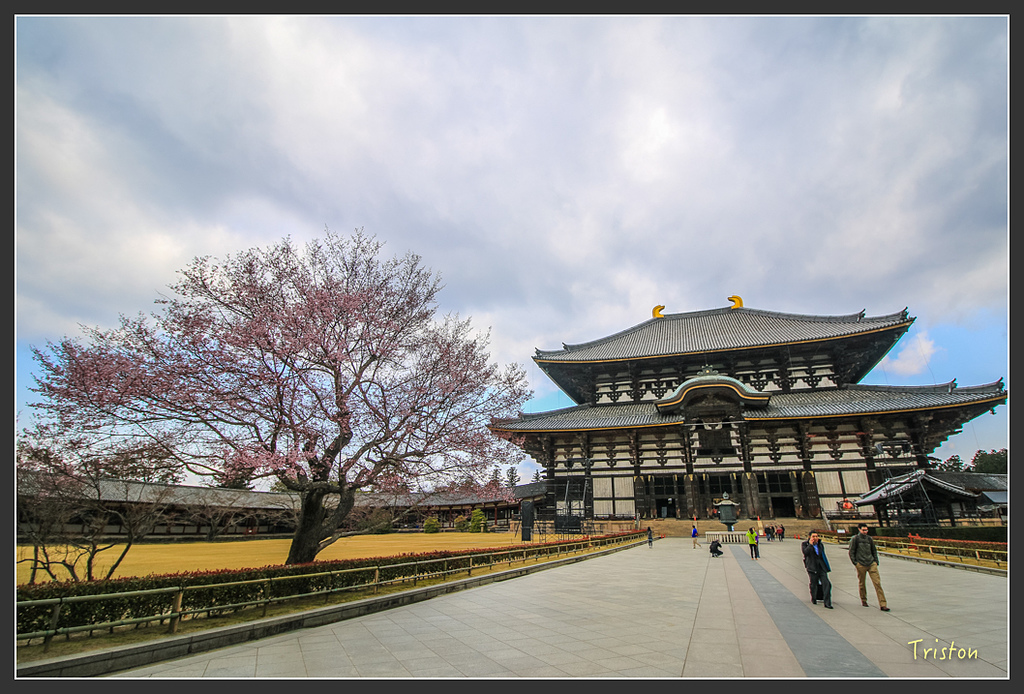 IMG_4346.jpg - 20160323 日本熊野古道健行