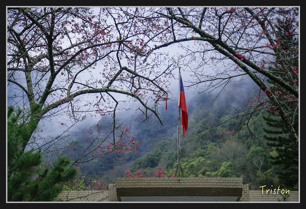 _H1A2028.jpg - 20170212 武界 萬大電廠 奧萬大