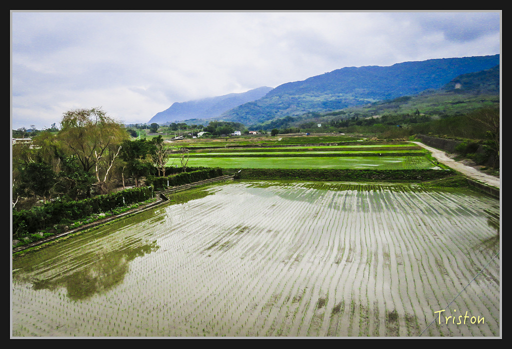 2017-02-27 10.04.56 下午 IMG_1340.jpg - 20170225 玉里瓦拉米