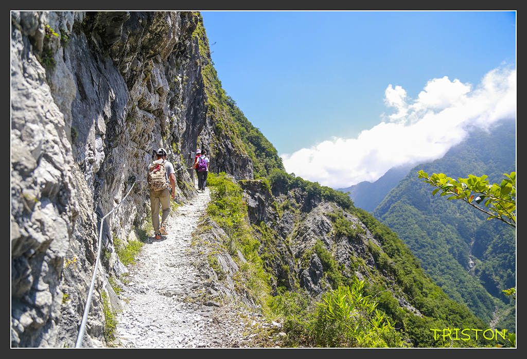 _H1A6442.jpg - 20170901 戀戀台九線