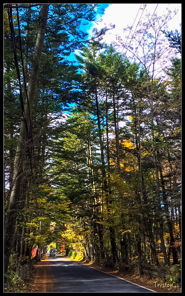 S__7536651.jpg - 20151031 秋天的童話-貴婦東京輕井澤紀行