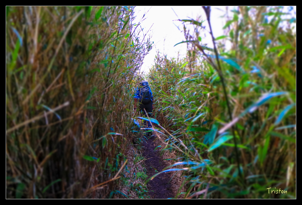 IMG_0466.jpg - 20151107 富士坪古道