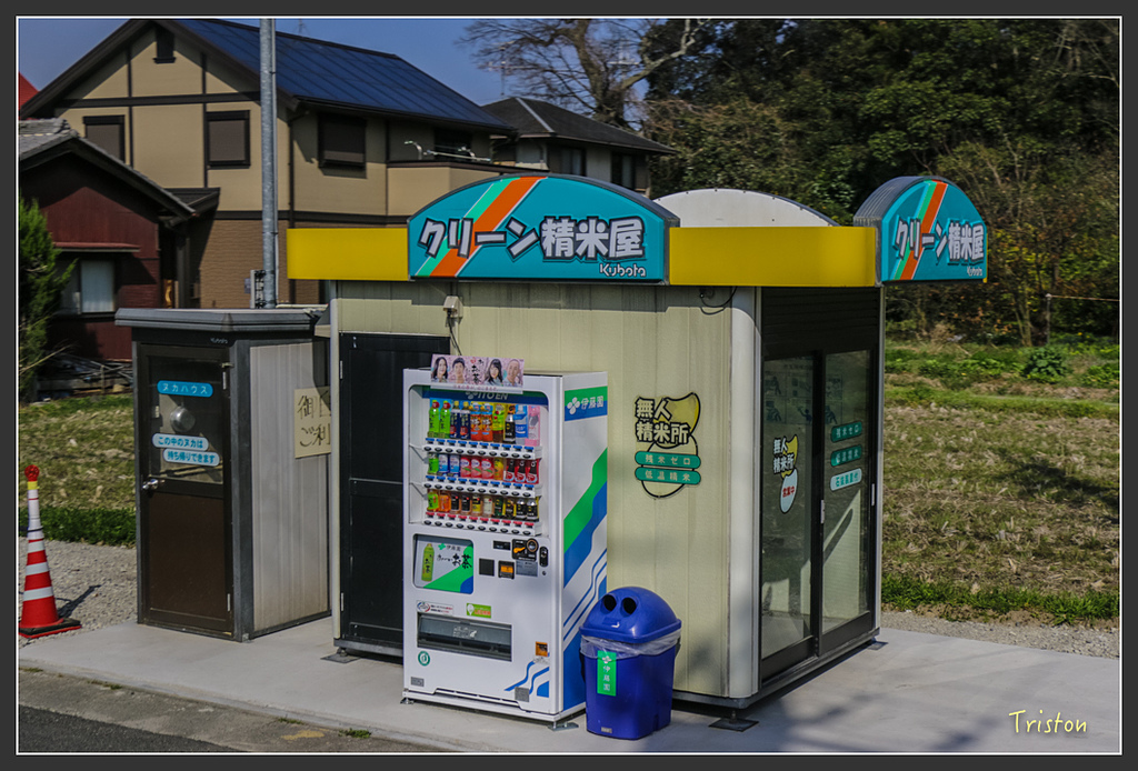 IMG_4009.jpg - 20160323 日本熊野古道健行