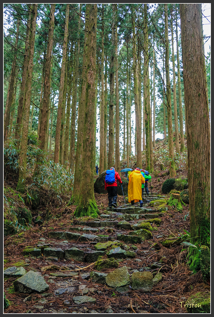 IMG_5524.jpg - 20160323 日本熊野古道健行