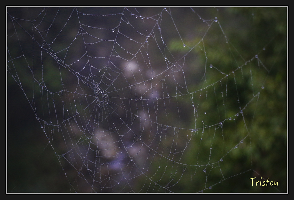 2017-02-27 10.03.53 下午 _MG_0351.jpg - 20170225 玉里瓦拉米