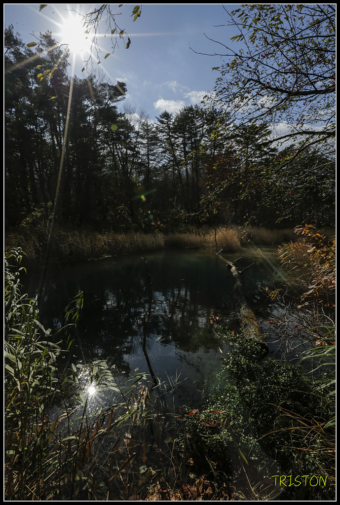 _H1A1275.jpg - 20171103 日本只見線、會津若松五色沼、昭和記念公園賞紅葉