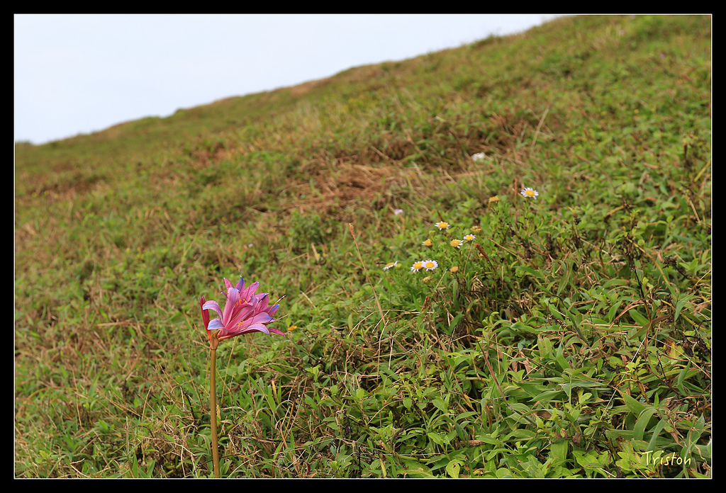 JH1A8334.jpg - 20150814 馬祖之旅