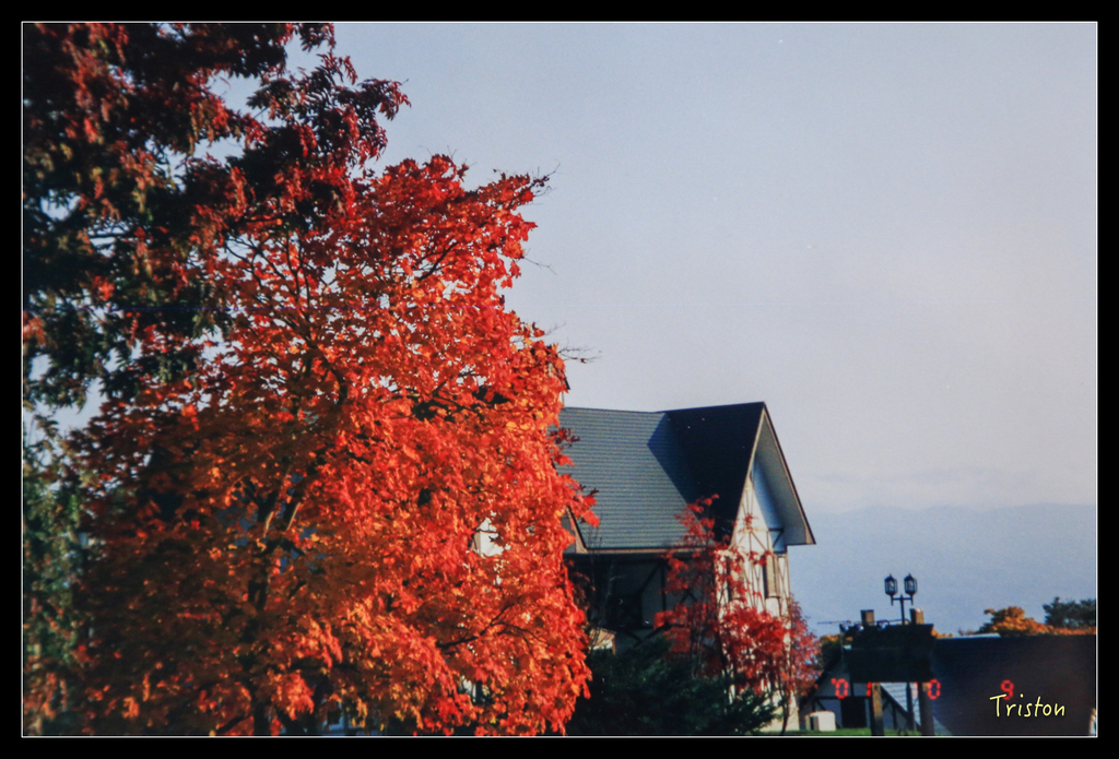 jh1a8824_21933839445_o.jpg - 20011002 北海道蜜月旅行