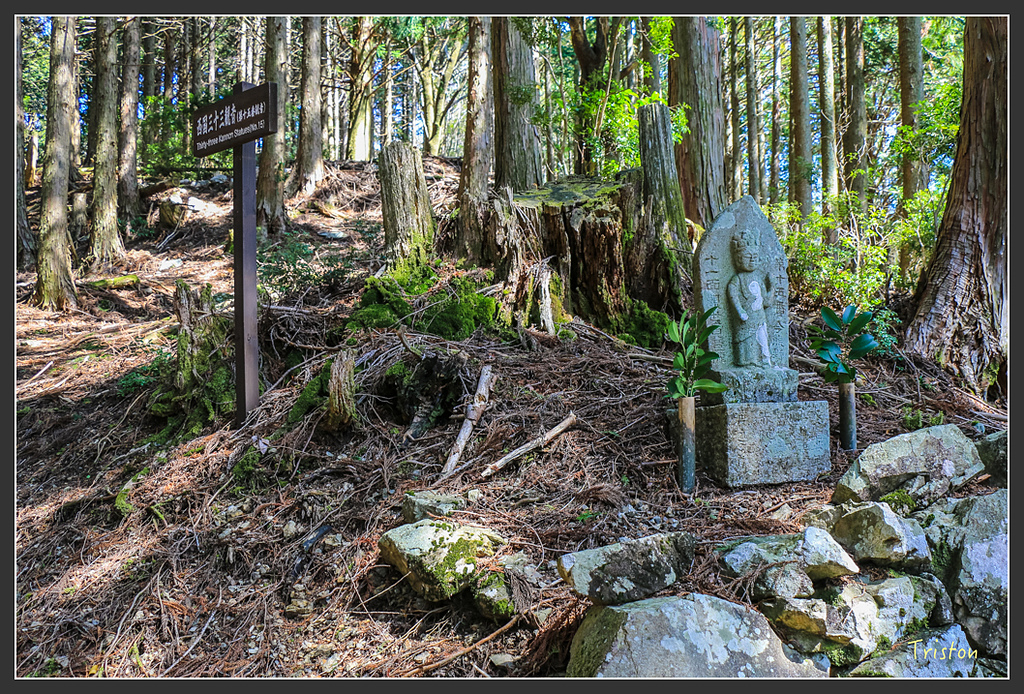 IMG_4748.jpg - 20160323 日本熊野古道健行