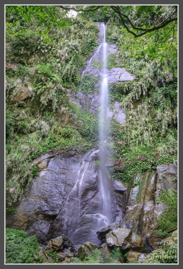 _MG_8717.jpg - 20160622 圓潭、雲潭、水社寮車站
