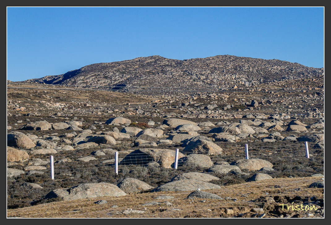 _MG_2479.jpg - 20161013 稻城亞丁