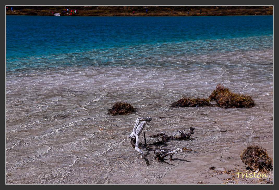 _MG_1809.jpg - 20161013 稻城亞丁