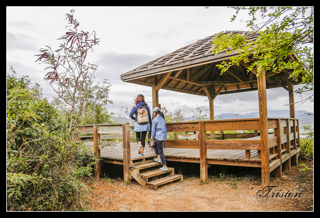 _H1A3170.jpg - 20170401 墾丁