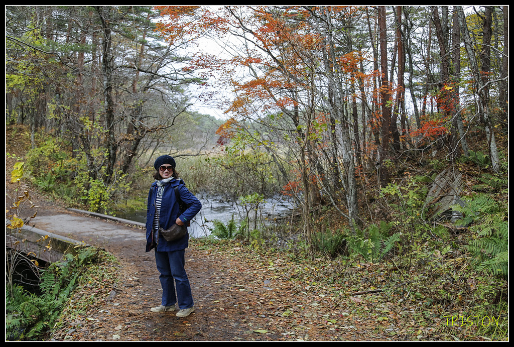 _H1A1202.jpg - 20171103 日本只見線、會津若松五色沼、昭和記念公園賞紅葉
