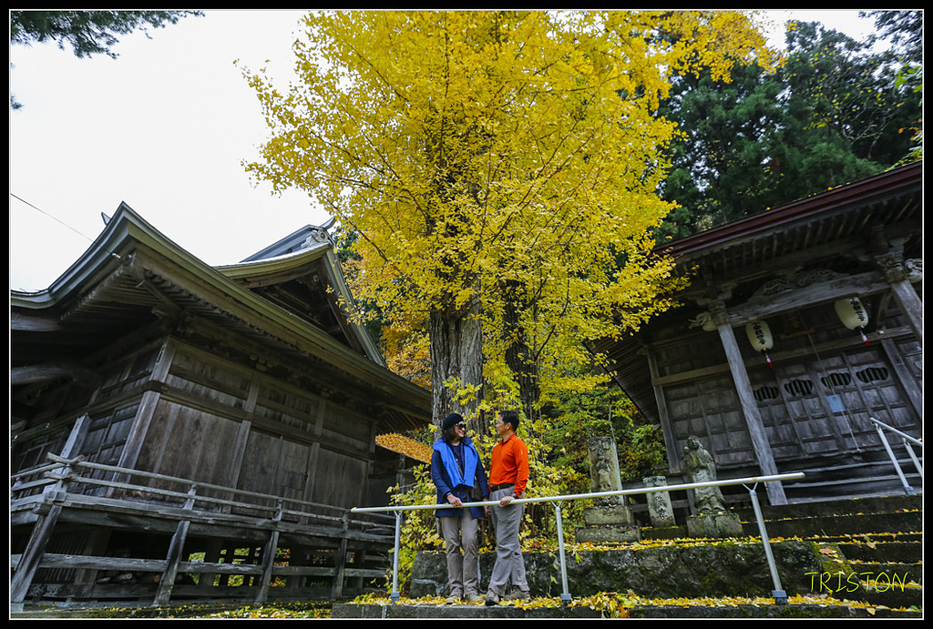 _H1A0720.jpg - 20171103 日本只見線、會津若松五色沼、昭和記念公園賞紅葉